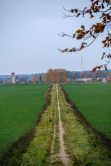 Obraz premium countryside road in autumn