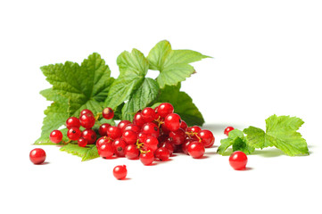 Red currant on the white background