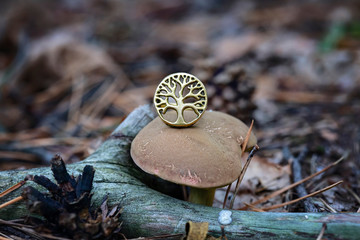 Brass tree shape ring on edible mushroom in forest