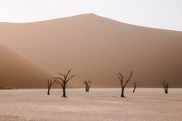 The morning light at Deadvlei, Namibia