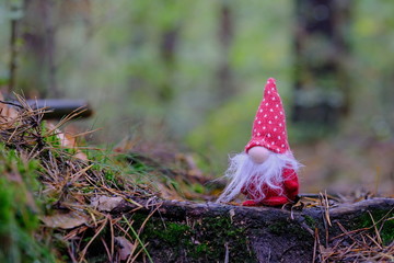 Wichtel im Wald