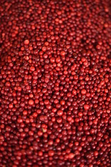 Red berries