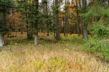 Herbst auf dem Heuberg Baden-Württemberg Deutschland 