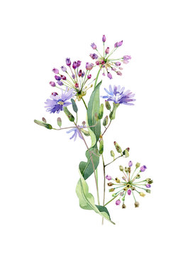 Watercolor bouquet of blue flowers and garlic flowers