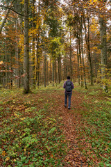 Fototapeta premium Herbst auf dem Heuberg Baden-Württemberg Deutschland 
