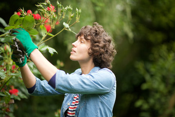 woman gardener pruning rose bush