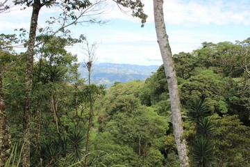 Montaña en Santa Barbara Honduras C.A