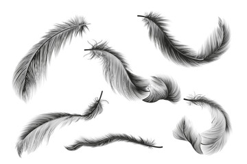 Set of gold  feather. Vector illustration.