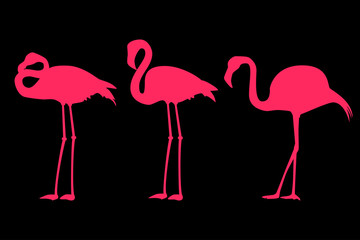 Silhouettes of pink flamingos on black background