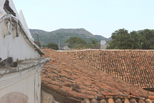 Lo Natural de Comayagua