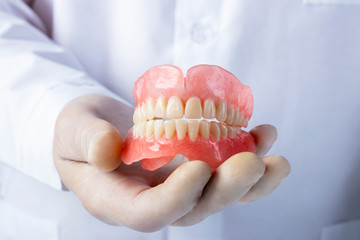 False teeth prosthesis. Doctor Dentist.