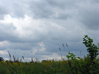 Clouds over the meadow