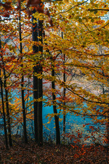 Colorful autumn in the forest with blue river