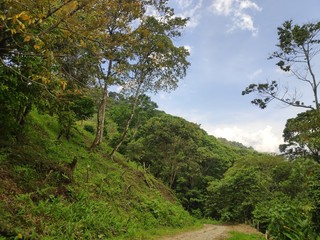 Fototapeta na wymiar Montañas de Honduras