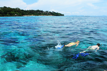 diving in the clear waters of the Gulf of Thailand