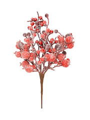 Decorative branch with red berries isolated