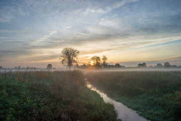 świt, mgła, mglisty, jesienny, drzewo, drzewa, łąki, pastwisko, dolina, rzeka, równina, niż polski © Piotr Szpakowski