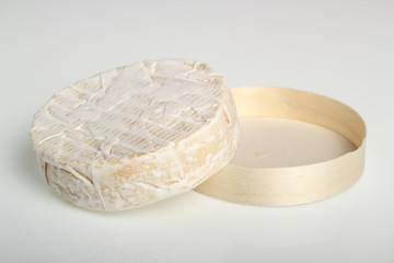 Camembert Cheese