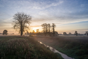 świt, mgła, mglisty, jesienny, drzewo, drzewa, łąki, pastwisko, dolina, rzeka, równina, niż polski © Piotr Szpakowski