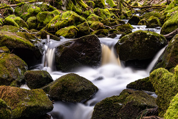 Creek and waterfall in the forest