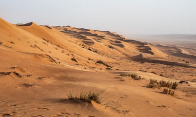 Oman Landschaft 15