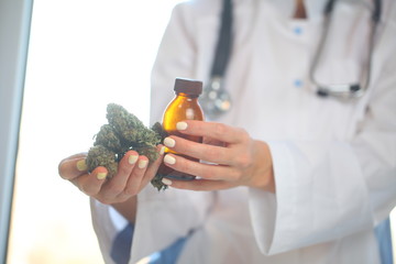 doctor hand hold and offer to patient medical marijuana and oil. Cannabis recipe for personal use, legal light drugs prescribe, alternative remedy or medication,medicine concept