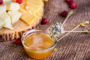  Different sorts of cheese on wooden board. Cheese with mold and honey close-up, side view. Cheese slices with honey and cranberries. Pieces of cheese on natural background.