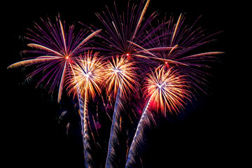Beautiful colorful isolated firework display for celebration happy new year and merry christmas on black background