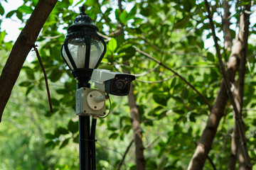 cctv camera for maintain security Install on lamppost and green natural as background.