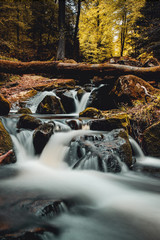 Fototapeta premium Beautiful nature forest in the mountain with blurry long exposure river water and waterfalls. Orange green tones in National Park