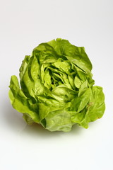 Butter Lettuce