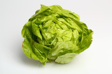 Obraz premium Butter Lettuce