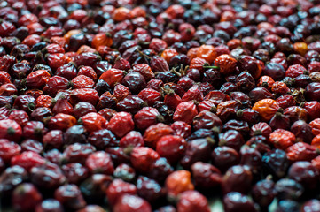 Lots of beautiful red dry rose hips scattered across the table, perspective view