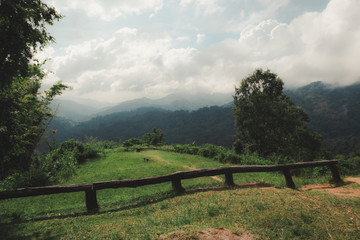 Fototapeta na wymiar landscape with green field and trees
