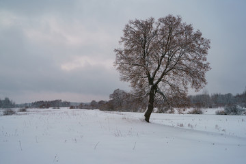 The beauty of russian snowy cloudy cold winter. Photography of snow covered expanses of Russia. Tourism concept.