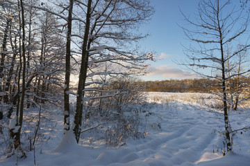 White snowy russian winter. Beautiful landscape at that cold time when the nature had been frozen. Nature is resting in sunny day.