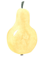 Yellow pear fruit, hand drawn watercolor illustration