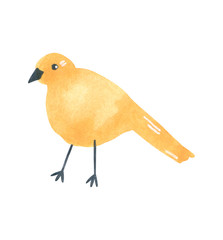Funny yellow bird, hand drawn watercolor illustration