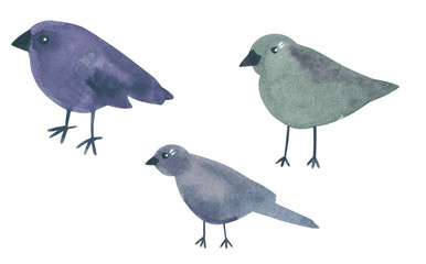 Set of funny black birds, hand drawn watercolor illustration