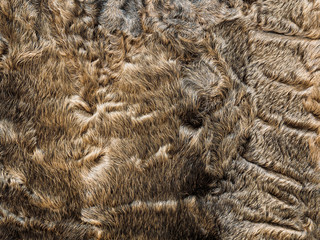 Brown lamb fur from an old fur coat