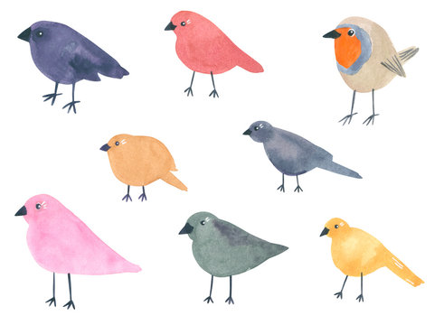 Set of funny birds, hand drawn watercolor illustration