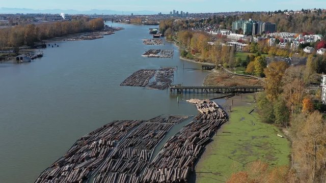 Log Boom Tug at River in Vancouver, Canada. Drone flying. Aerial 4k view.