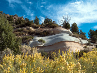Yellow chamisa flowers and beautiful rocks, clouds, and sky at Beaver Dam State Park in Nevada © Martha Marks