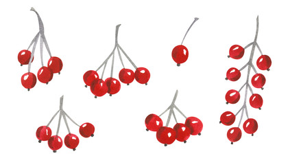 Set of leaves, hand drawn watercolor illustration