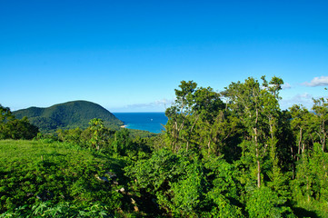 Fototapeta na wymiar The great bay at Deshaies, Basse-Terre, Guadeloupe