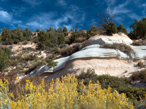 Yellow chamisa flowers and beautiful rocks at Beaver Dam State Park in Nevada