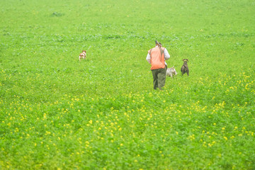 hunter and his dogs in the plains