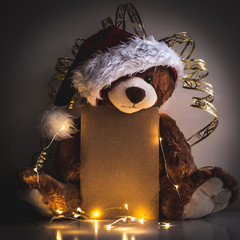 Christmas card with Teddy bear holding a place for text and other Christmas decor light garland.