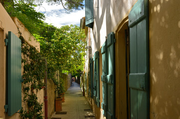 Rue Etienne Berry verdoyante à Saint-Tropez (83990), département du Var en région Provence-Alpes-Côte-d'Azur, France