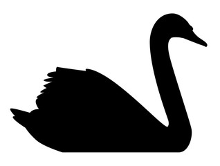 Logo ou silhouette noire de cygne sur fond blanc © Fabien